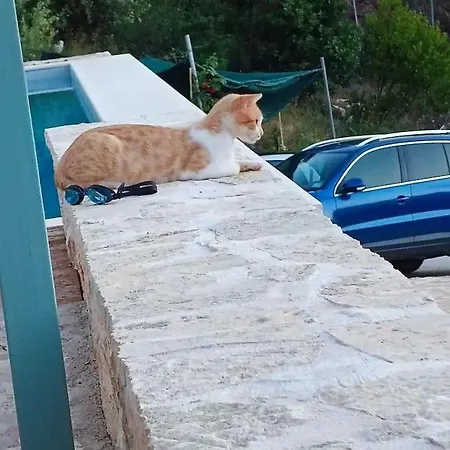 Vako Case de vacanță